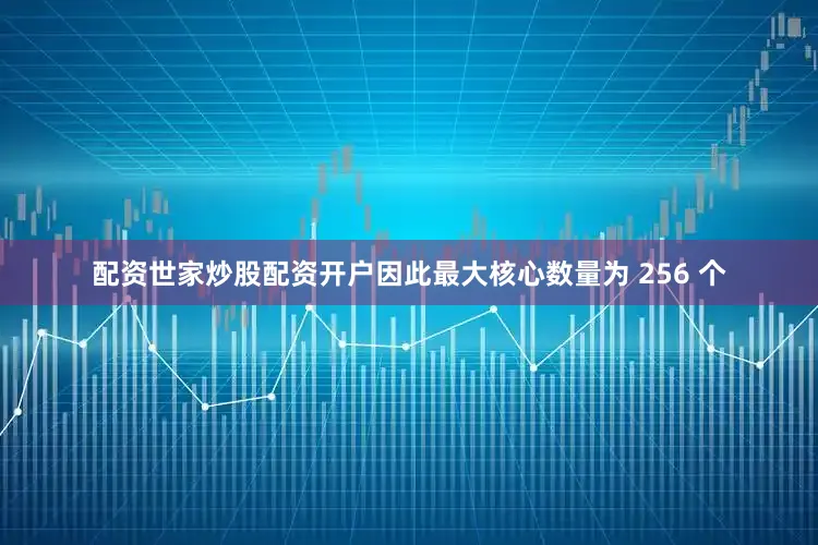 配资世家炒股配资开户因此最大核心数量为 256 个