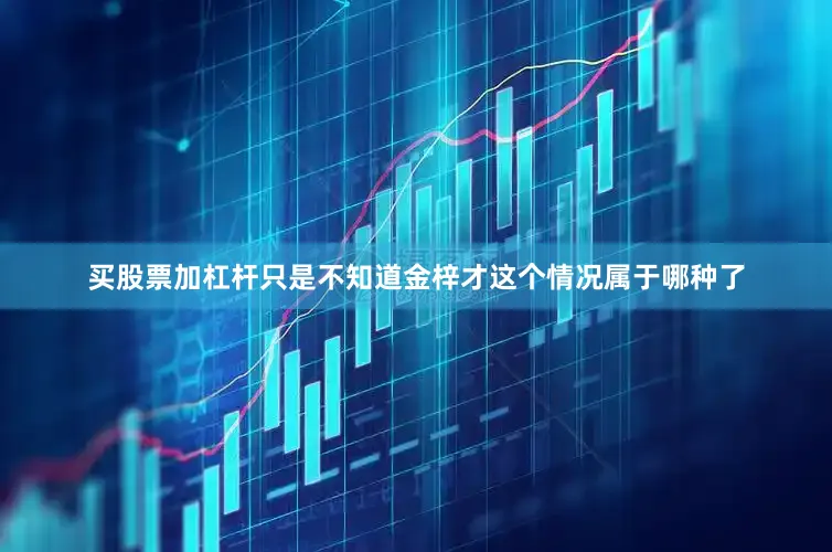 买股票加杠杆只是不知道金梓才这个情况属于哪种了