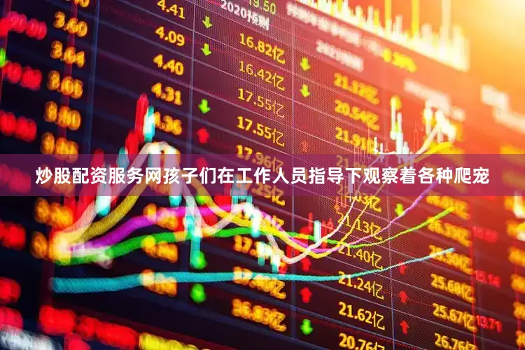 炒股配资服务网孩子们在工作人员指导下观察着各种爬宠