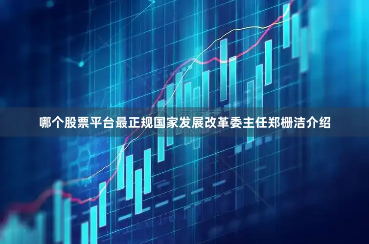 哪个股票平台最正规国家发展改革委主任郑栅洁介绍
