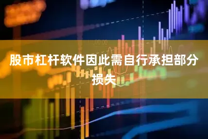 股市杠杆软件因此需自行承担部分损失