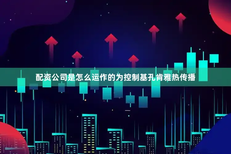 配资公司是怎么运作的为控制基孔肯雅热传播