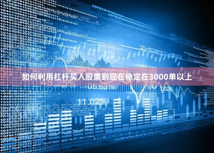 如何利用杠杆买入股票到现在稳定在3000单以上